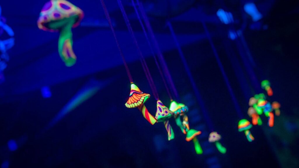 psy spirit party bild uv pilze